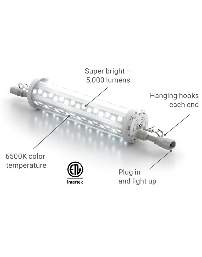 Cascade LED Lights™